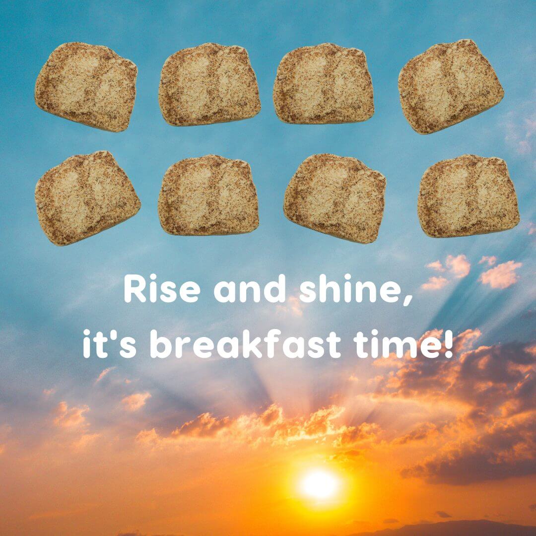 French Toast product