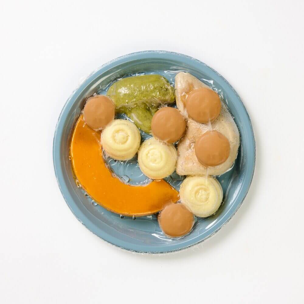 Roast Chicken with Broccoli, Pumpkin, Mashed Potato & Mushroom Sauce - Minced & Moist - Image 3