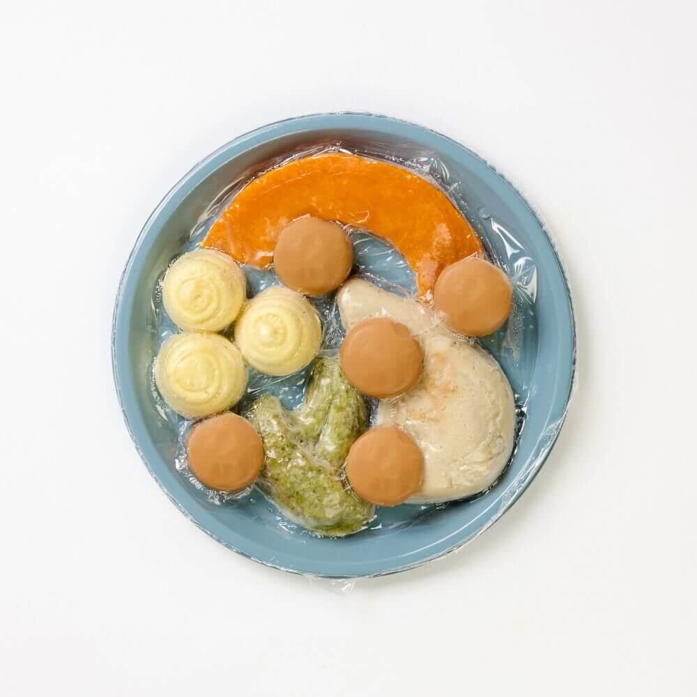 Roast Chicken with Broccoli, Pumpkin, Mashed Potato, & Mushroom Sauce - Pureed - Image 2