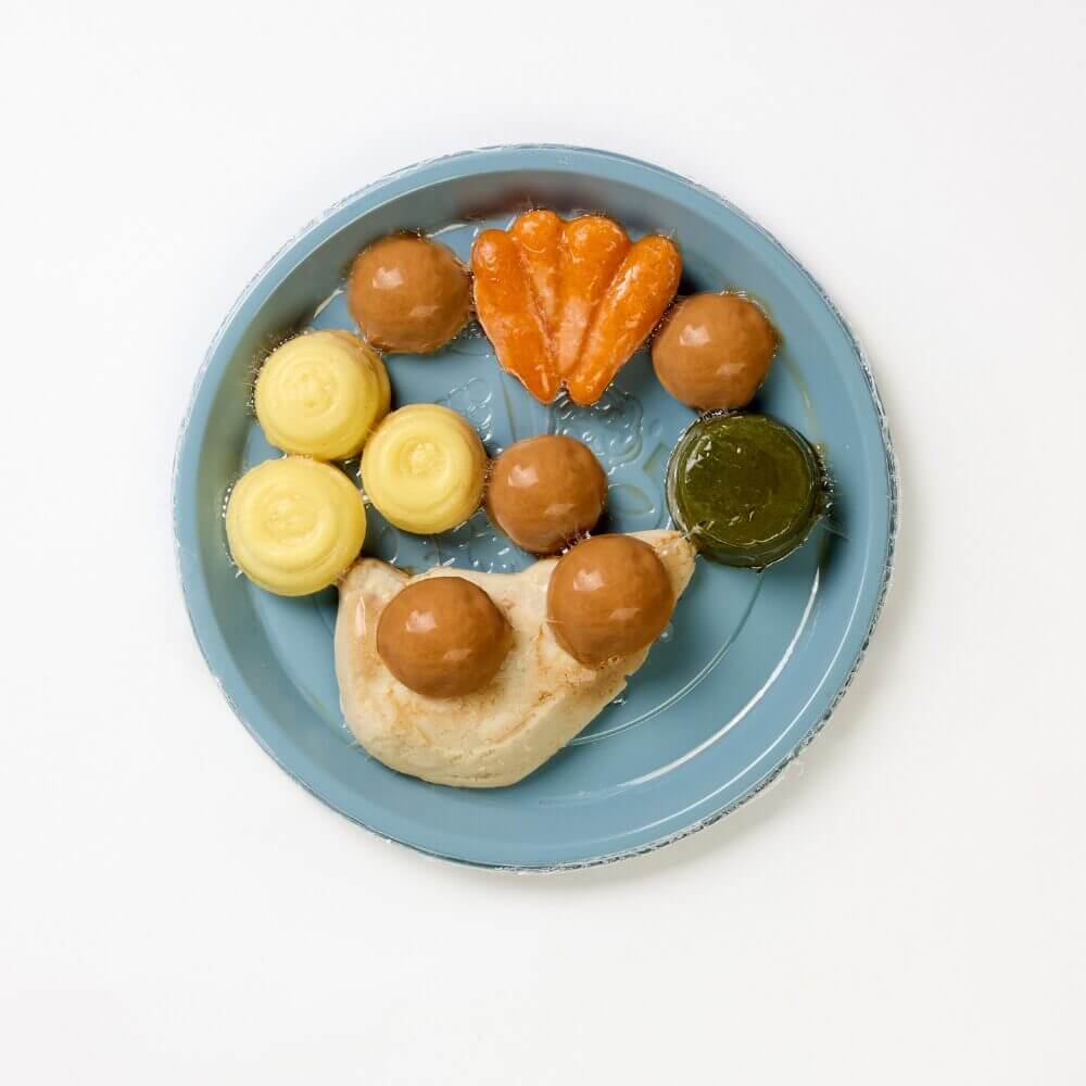 Roast Chicken with Spinach, Carrots, Mashed Potato & Classic Gravy - Pureed - Image 3